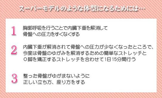 ���Ճ_�C�G�b�g �V��� �n�r �������� �J�����[